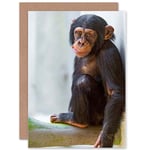 Birthday Animal Photo Monkey Cute Baby Chimp Greetings Card Plus Envelope Blank inside