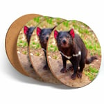 4 Set - Tasmanian Devil Wild Animal Coasters - Kitchen Drinks Coaster Gift #2201