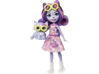 Enchantimals Coffret City Tails Hadley Husky et Sledder Mattel Violet