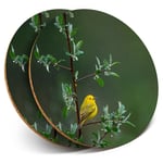 2 x Coasters - Little Yellow Bird Tree Rain Nature  #45583