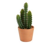 Cactus pot terra H.  30 cm UNIA Terracotta