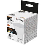 LED-lamppu Entac 4W GU10 4000K