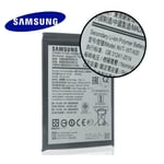 Batterie Interne Samsung Galaxy NVT-WT-N30 Pour Le Samsung N 30