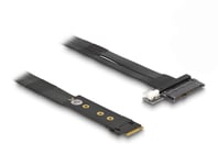 DELOCK – M.2 Key M to U.2 SFF-8639 NVMe Adapter with 20 cm cable (64216)