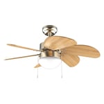 Cecotec - Ventilateur de Plafond avec Lumière EnergySilence Aero 360 Gold&Wood - 50 W, Diamètre 91 cm, 3 Vitesses, 6 Pales, Ampoule Non Incluse, Mode Été/Hiver, Design Élégant