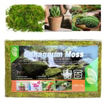 1 förpackning 150g Komprimerad naturlig Sphagnum mossa Torr torvmossa Potti Grön one size