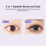 Lash Extension Kit With Tweezer 2ml Bond And Seal 240pcs Clusters Easy BG