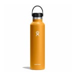 Hydro Flask Standard Mouth Flex 710 ml Fossil, OneSize