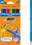 BIC Kids Evolution Coloured Pencils, Vivid Colouring Pencils, Easy to Sharpen,