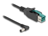 Delock - Usb-Kabel Med Egen Strömförsörjning - Usb Pluspower (12 V) (Hane) Till Växelströmsjack 5,5 X 2,5 Mm (Hane) Vinklad - 12 V - 3 M - Svart