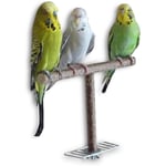 JKLBNM Bird Play Stands Wooden Tabletop Parrot Perch Shelf Portable Training Exercise Playstand Toy Bird Cage Accessories