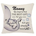 Bacmaxom Nanny We Tried To Find The Best Gift for You But You Already Have Us Cushion Cover for Nanny Reminder Cushion Cover Throw Pillow Cover Nanny Birthday Mother's Day (nanny-best gift)