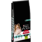 Croquettes pour chien Pro Plan Medium Adult Sensitive Digestion riche en agneau et riz14kg