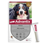 Advantix Très Grand Chien entre 40 et 60 kg – Pipettes pour chien contre 6 parasites – Traitement et protection pour votre chien pendant 4 semaines – 4 x 6,0 ml