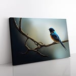 The Riveting Swallow Bird Canvas Wall Art Print Ready to Hang, Framed Picture for Living Room Bedroom Home Office Décor, 50x35 cm (20x14 Inch)