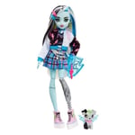 Nukke Monster High Frankie Stein, 25 cm