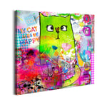 Arkiio Tavla Crazy Cat A3-N7152-DKA