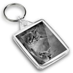 IP02 Passport Keyring BW - Caracal African Lynx Cat  #38979