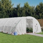 Vidaxl Serre Avec Cadre En Acier Blanc 24 M² 6x4x2 M