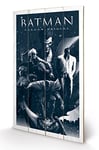 Pyramid International Batman Arkham Origins (Montage) -Wood Print 45 x 76cm, Multi-Colour, 45 x 76 x 1.3 cm