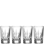 LEONARDO Il Mondo Lot de 4 verres à liqueur aux herbes – Verres à liqueur à facettes – Finitions de qualité – Contenance 70 ml – Passe au lave-vaisselle – 4 verres à liqueur transparents