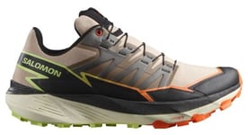 Salomon Thundercross - homme - beige