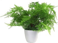 Leaf Artificial Plant 30 cm with Pot White Lady Fern (Athyrium Filix-Femina)