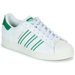 adidas Sneakers SUPERSTAR Vit dam