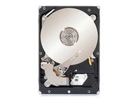 United Digital – 1TB 6 G SAS Drive Module Raid Edition 24/7, dmsse10 (Raid Edition 24/7 1TB Hard Drive, 7200rpm 6 g SAS, 32 MB Cache.)