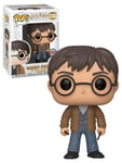 Funko Pop Exlusive Harry Potter with 2 wands Vinyl figure 118