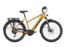 Gazelle Medeo T10 HMB 500Wh 45