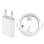 2M Lightning laddare iPhone 12/11/ Xs/Max/X/8/7/6/5SE + USB