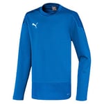 Puma Teamgoal 23 Training Sweat Jr T-shirt Garçon, Electric Blue Lemonade-Team Power Blue, 116