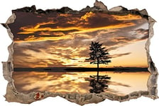 pixxp Rint 3D WD 1354 _ 62 x 42 Arbre Solitaire percée Mural 3D Sticker Mural, Vinyle, Multicolore, 62 x 42 x 0,02 cm