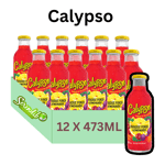 Calypso Paradise Punch Lemonade Case of 12 Prime Summer Juice Drink Ever