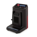 Toro Laddare 60V 5 amp 81805