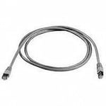 Telegärtner Câble de raccordement réseau informatique RJ45 (croisé) L00001A0099 CAT 6a S/FTP gris 2.00 m