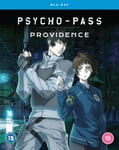 PSYCHO-PASS: Providence - Movie