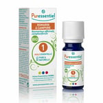 Puressentiel ​Huile Essentielle Romarin à Camphre BIO Huile 10 ml