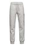 Champion Rib Cuff Pants Grå