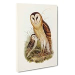 Big Box Art Grass-Owls by Elizabeth Gould Canvas Wall Art Framed Picture Print, 30 x 20 Inch (76 x 50 cm), White, Gold, Cream, Blue