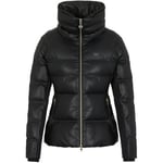 Veste Emporio Armani EA7  Bomber Jacket