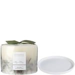 The White Company Fir Tree Botanical Candle and Plate - Large