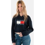 Pull Tommy Jeans  dw0dw18528