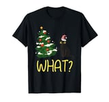 Black Cat Pushing Christmas Tree Over Funny What? T-Shirt