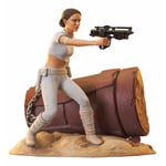 Star Wars Attack of the Clones Premier Padme Figure 1/7 Scale Limited Statue