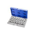 Facom - expert - coffret de douilles et douilles tournevis torx 1/2 - 16 pièces - E032907