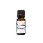 Rosemary Essential Oil Pure & High Quality Oils 10ml Known For Hair Growth