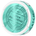 Catch Eucalyptus Dry Mini 50-p