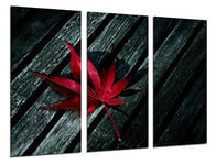 Tableau Moderne Photographique, Impression sur bois, Photo de feuille de cannabis rouge, 97 x 62 cm, ref. 26523